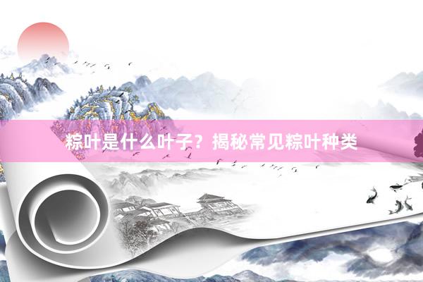 粽叶是什么叶子？揭秘常见粽叶种类
