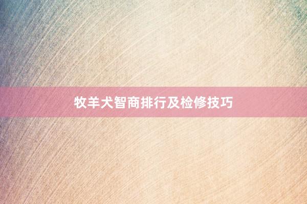 牧羊犬智商排行及检修技巧