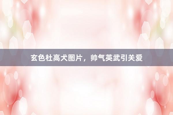 玄色杜高犬图片，帅气英武引关爱
